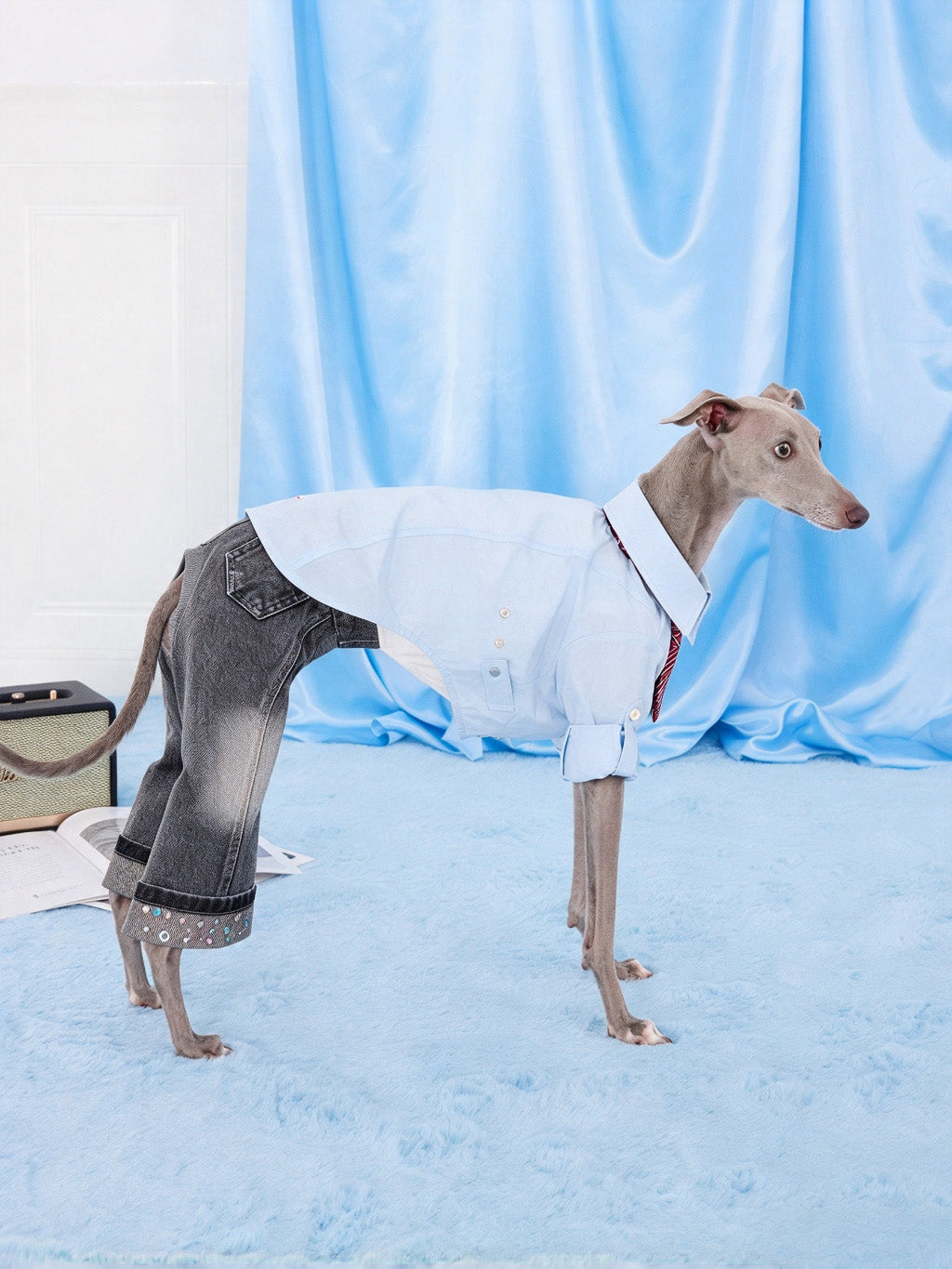 Dog wearing smoke gray CHISUPET pet denim overalls with sparkling rhinestone pant hems