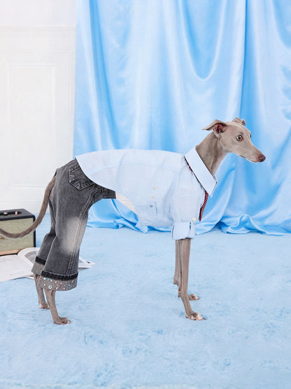 Dog wearing smoke gray CHISUPET pet denim overalls with sparkling rhinestone pant hems