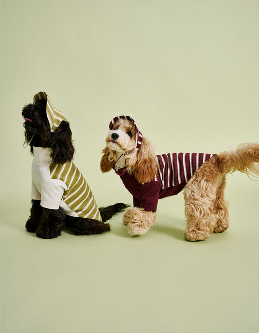 Small dog in stretchy striped T-shirt designed for comfortable everyday wear