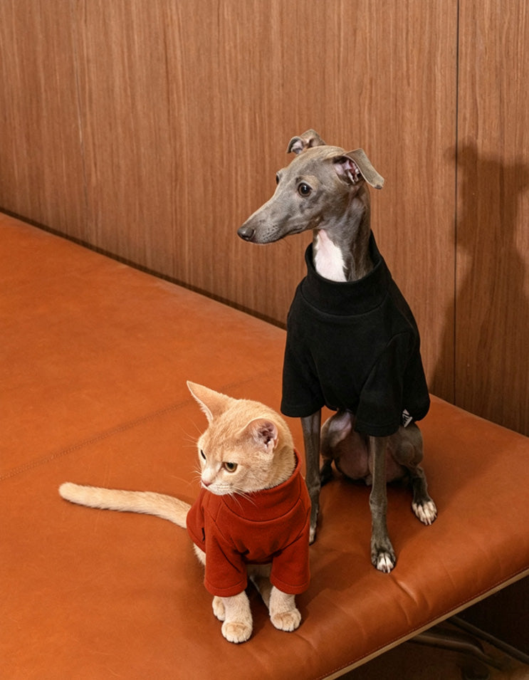 Orange cat and Italian Greyhound wearing lightweight cloud-soft turtleneck base layers for warmth and comfort.