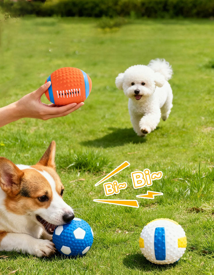 Dog chewing squeaky latex ball toy, boredom relief dog toy