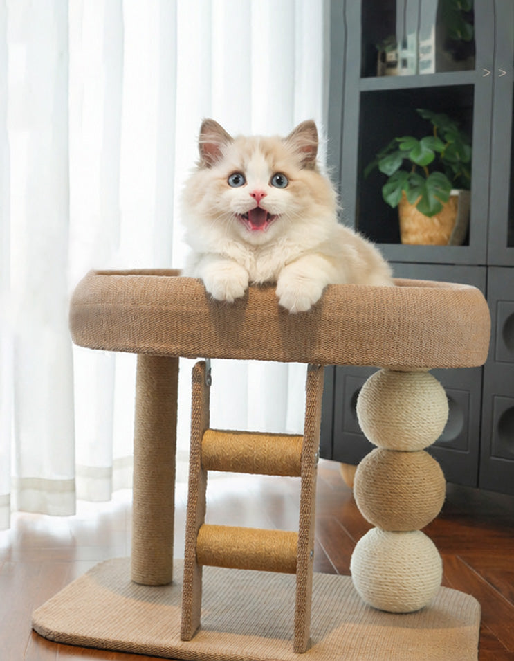 Solid base and sturdy board construction supporting safe jumping and climbing