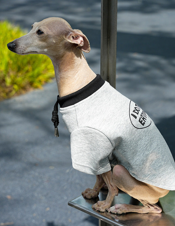 Dog wearing the CHISUPET Dad & Me Cotton Set pet shirt with a casual printed design