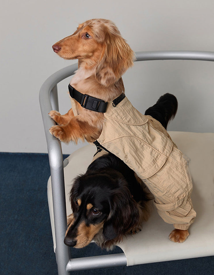 Dog wearing brown CHISU SunTrail coveralls for lightweight coverage and everyday outdoor activities.