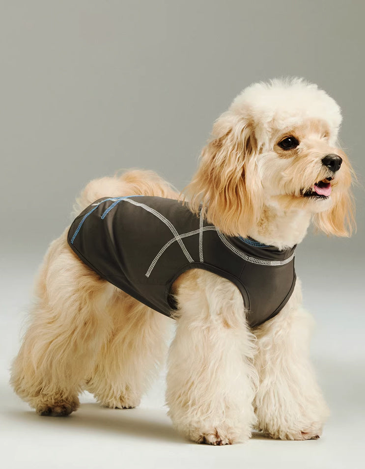 Small dog wearing a quick-dry cooling vest, breathable and lightweight summer pet clothing