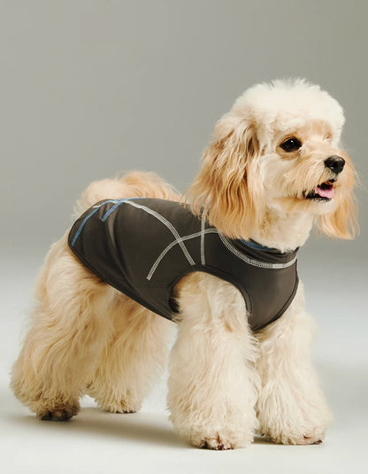 Small dog wearing a quick-dry cooling vest, breathable and lightweight summer pet clothing