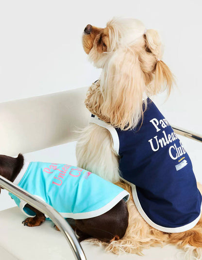 Multiple dogs wearing CHISU CoolBreeze cooling vests in different colors designed for lightweight breathable summer comfort.