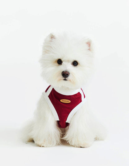 Dog walking outdoors in CHISU CoolBreeze vest designed for heat relief and airflow comfort.
