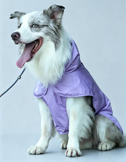 Dog wearing the CHISUPET TerraCape purple dog poncho jacket designed for outdoor adventures and bug protection