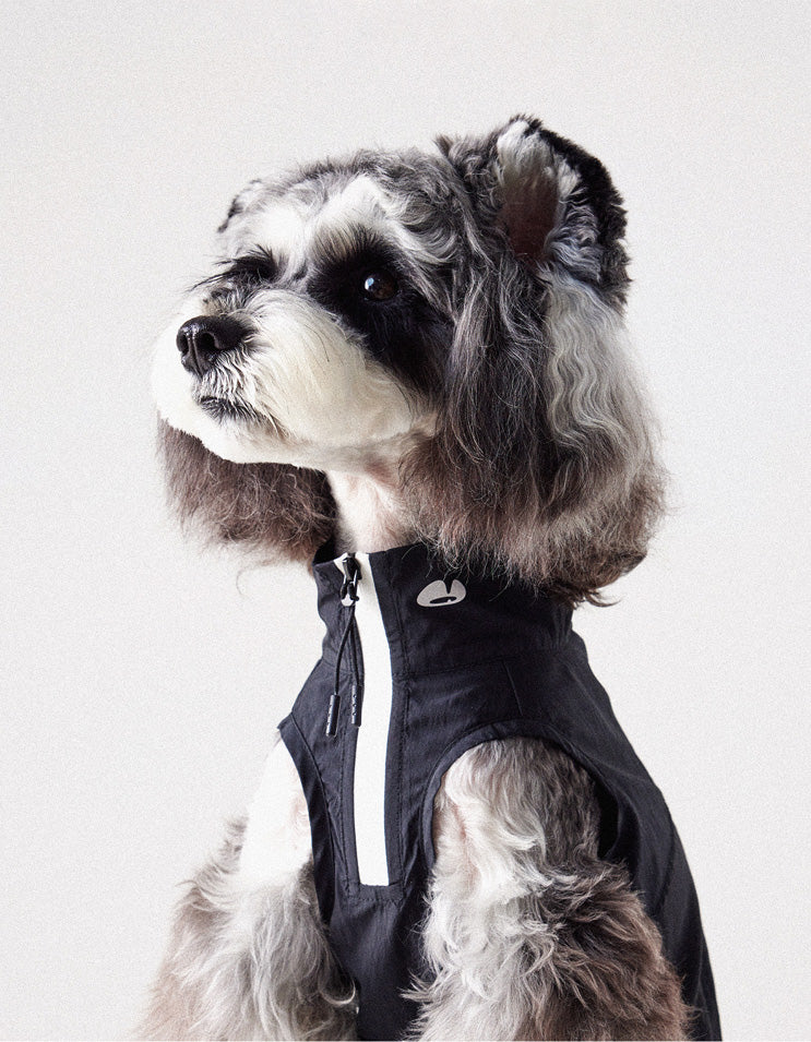 Dog wearing black sun protection vest designed to block UV rays and reduce heat exposure