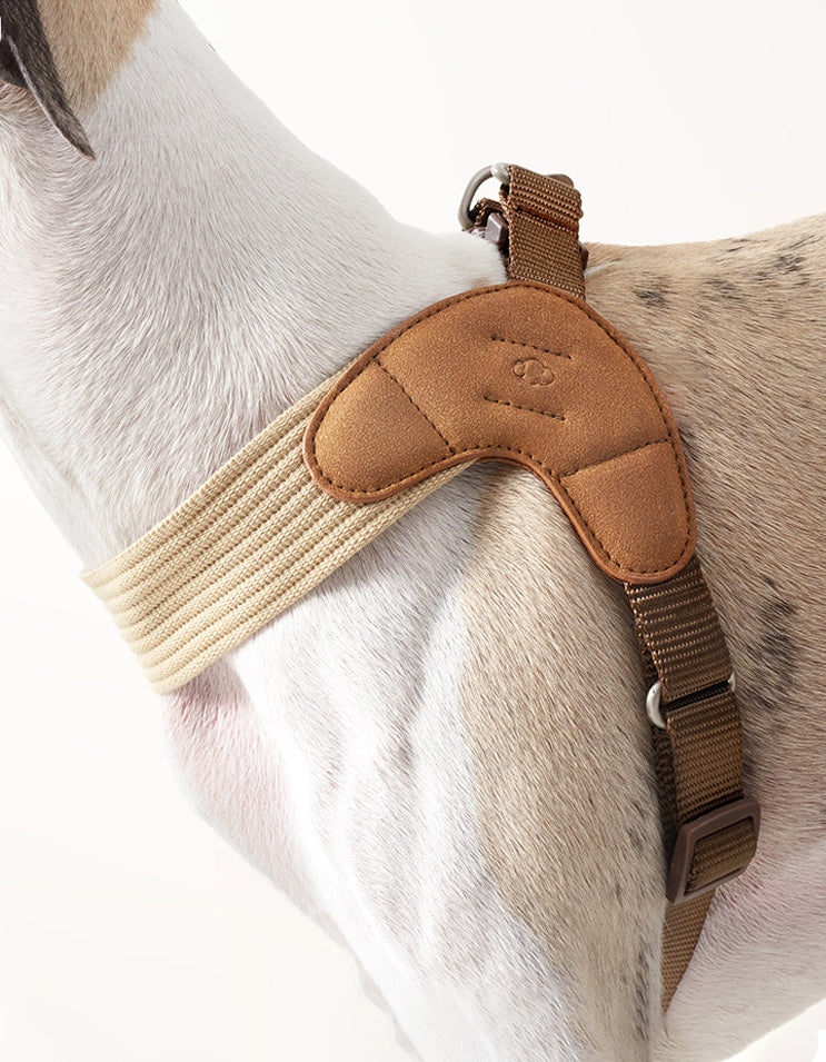 Close-up of dog harness showing pearl nickel hardware, stitching, and durable materials