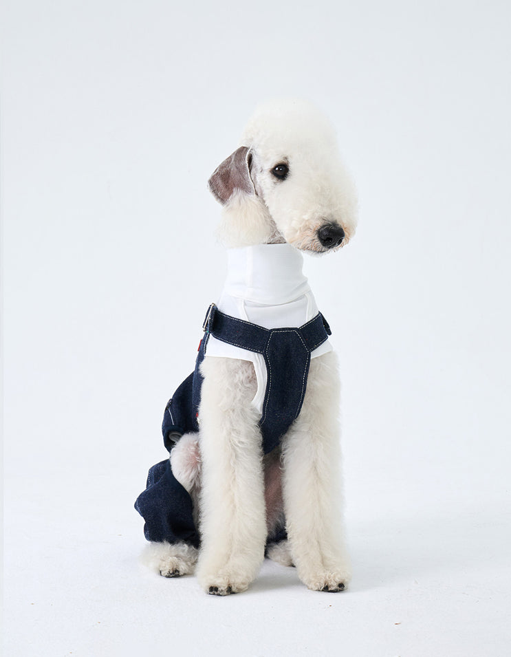 Front view of a dog wearing lightweight 100% cotton vintage denim overalls for everyday outdoor walks.