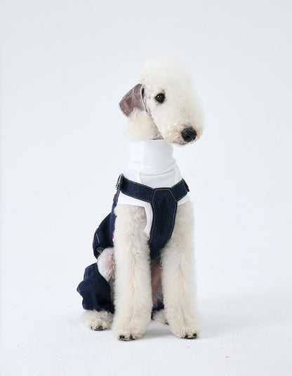 Front view of a dog wearing lightweight 100% cotton vintage denim overalls for everyday outdoor walks.