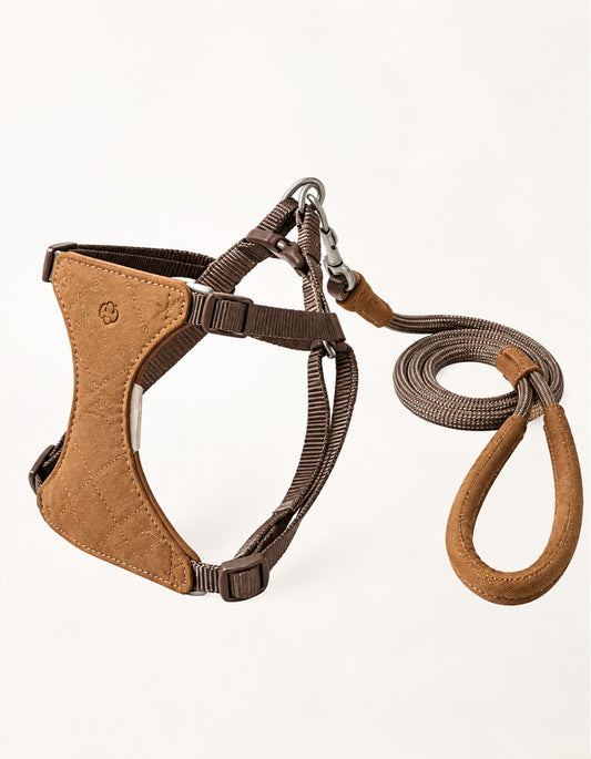 Close-up of the VivaBone suede cat harness showing its soft suede texture, adjustable nylon straps, secure metal D-ring, and anti-tangle swivel clasp.