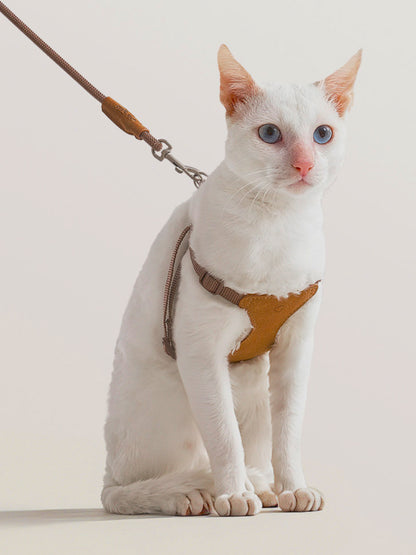 Cat wearing the CHISUPET VivaBone suede cat harness and leash set, featuring a soft suede finish and ergonomic H-shaped design for comfortable outdoor walks.
