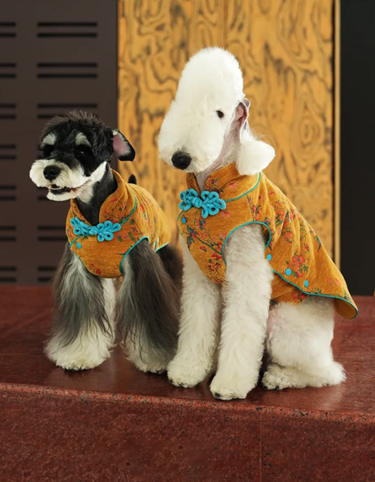 Festive Lunar New Year dog vest combining comfort, warmth, and Oriental charm