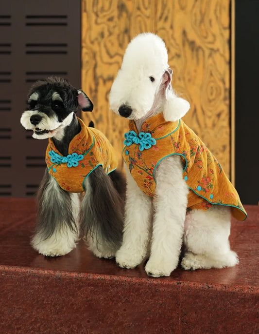 Festive Lunar New Year dog vest combining comfort, warmth, and Oriental charm