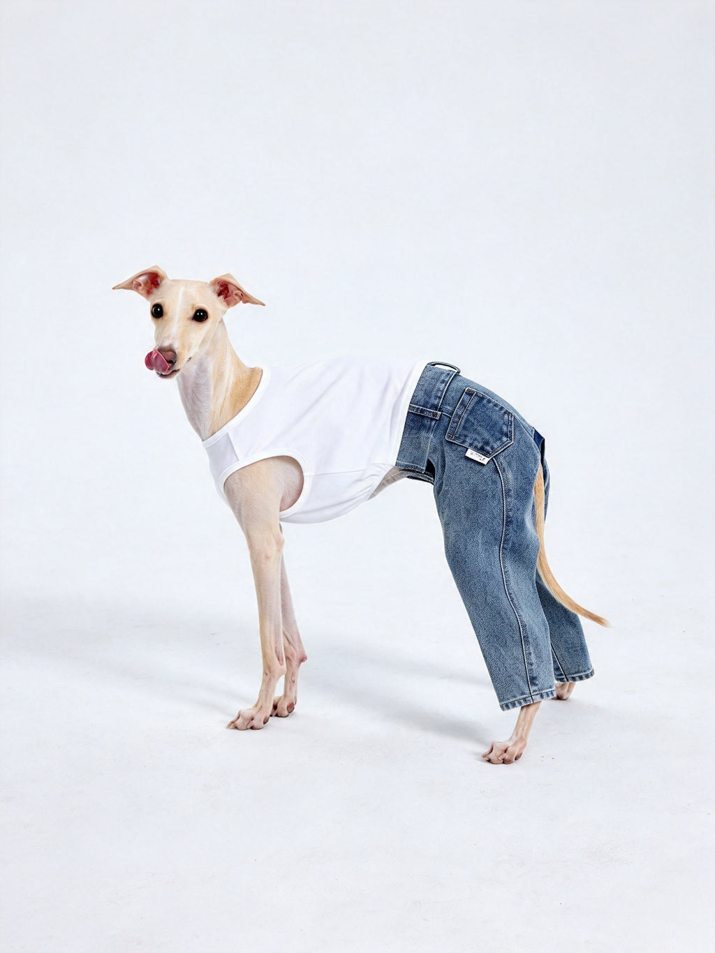 CHISUPET washed blue pet denim overalls with a clean, rhinestone-free pant hem
