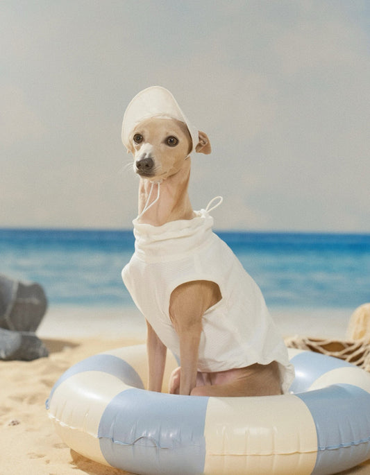Dog sun hat with water-repellent brim designed to block light rain and sun exposure