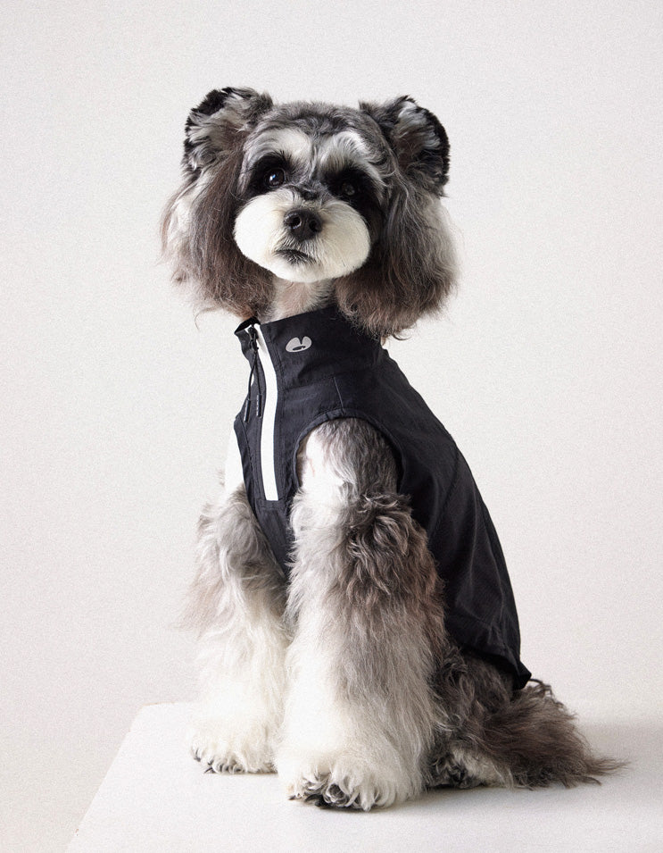 Dog wearing water-resistant lightweight vest suitable for rain and outdoor activities