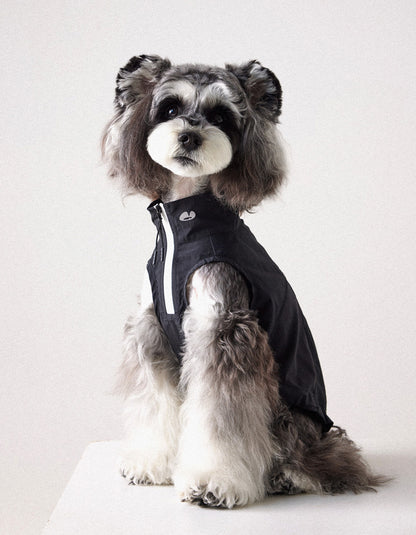 Dog wearing water-resistant lightweight vest suitable for rain and outdoor activities