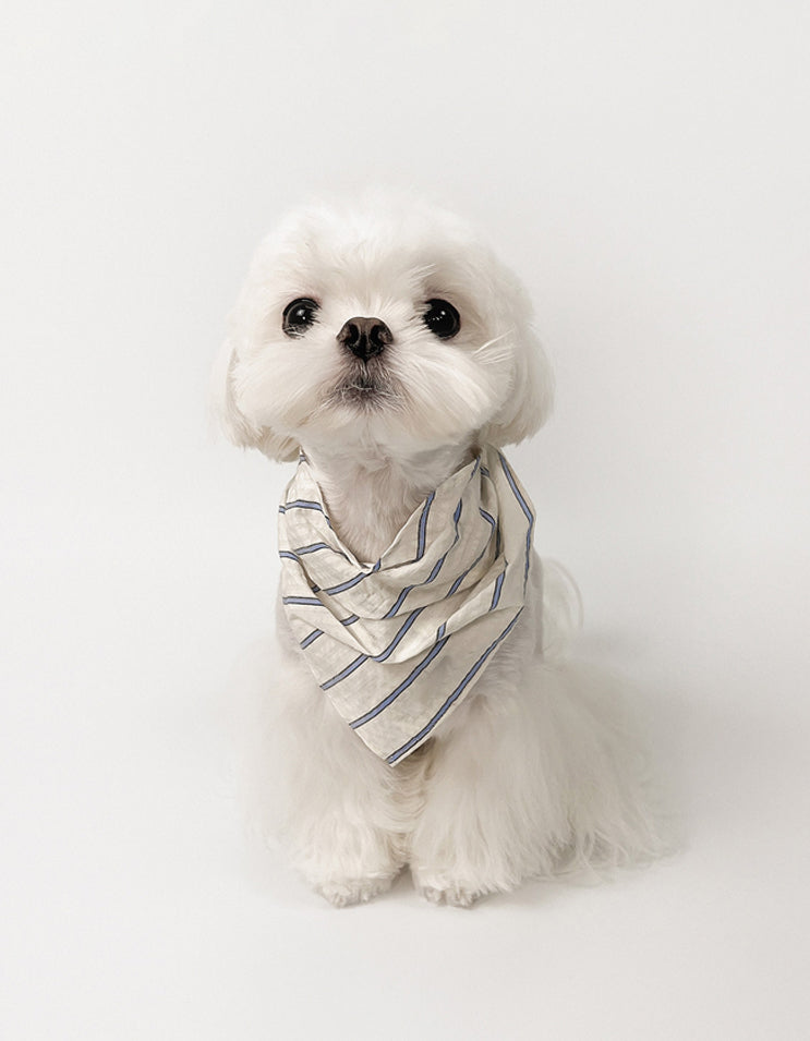Small Maltese dog wearing lightweight cotton bandana with elegant pleats outdoors