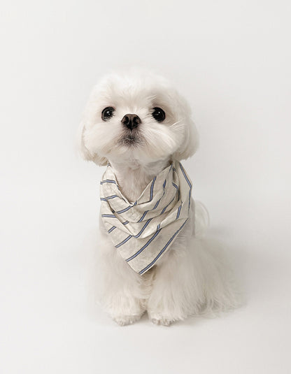 Small Maltese dog wearing lightweight cotton bandana with elegant pleats outdoors
