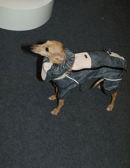 Dog exploring outdoors while wearing the CHISU TrailShield rain shell designed for all-weather protection.
