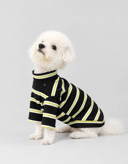 White Bichon Frise modeling the CHISUPET Dark Green Striped Knit Dog Shirt, featuring 100% cotton yarn, a soft breathable knit texture, and bold dark green and black stripes.