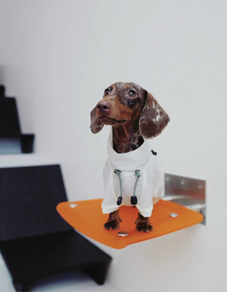 White CHISU AeroShield dog shell suit designed with breathable waterproof nylon for outdoor use.