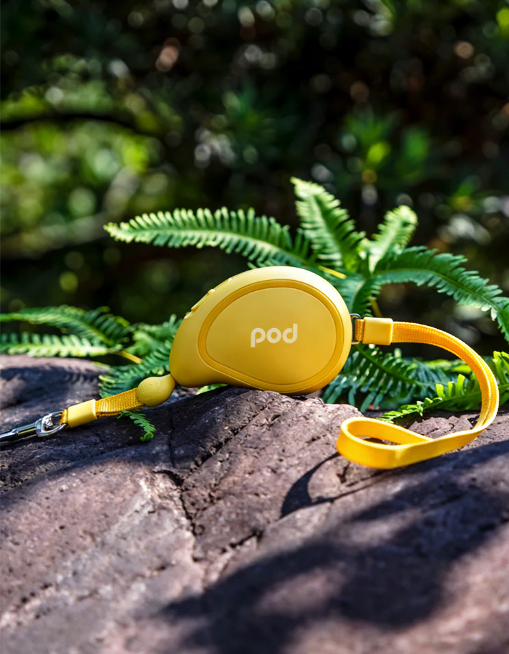 Close-up of yellow mango-shaped retractable leash showing compact design and smooth finish